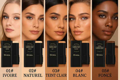 Fond de Teint en stick + pinceaux intégrer